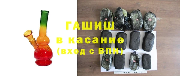 стаф Тутаев