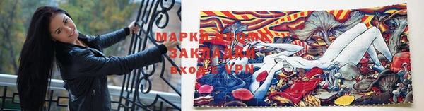 стаф Тутаев