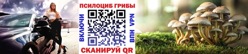 Галлюциногенные грибы MAGIC MUSHROOMS  Купить  Старица 